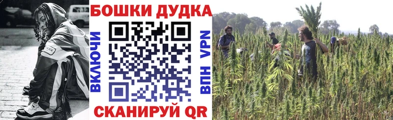Купить где  Бронницы  Канабис конопля 